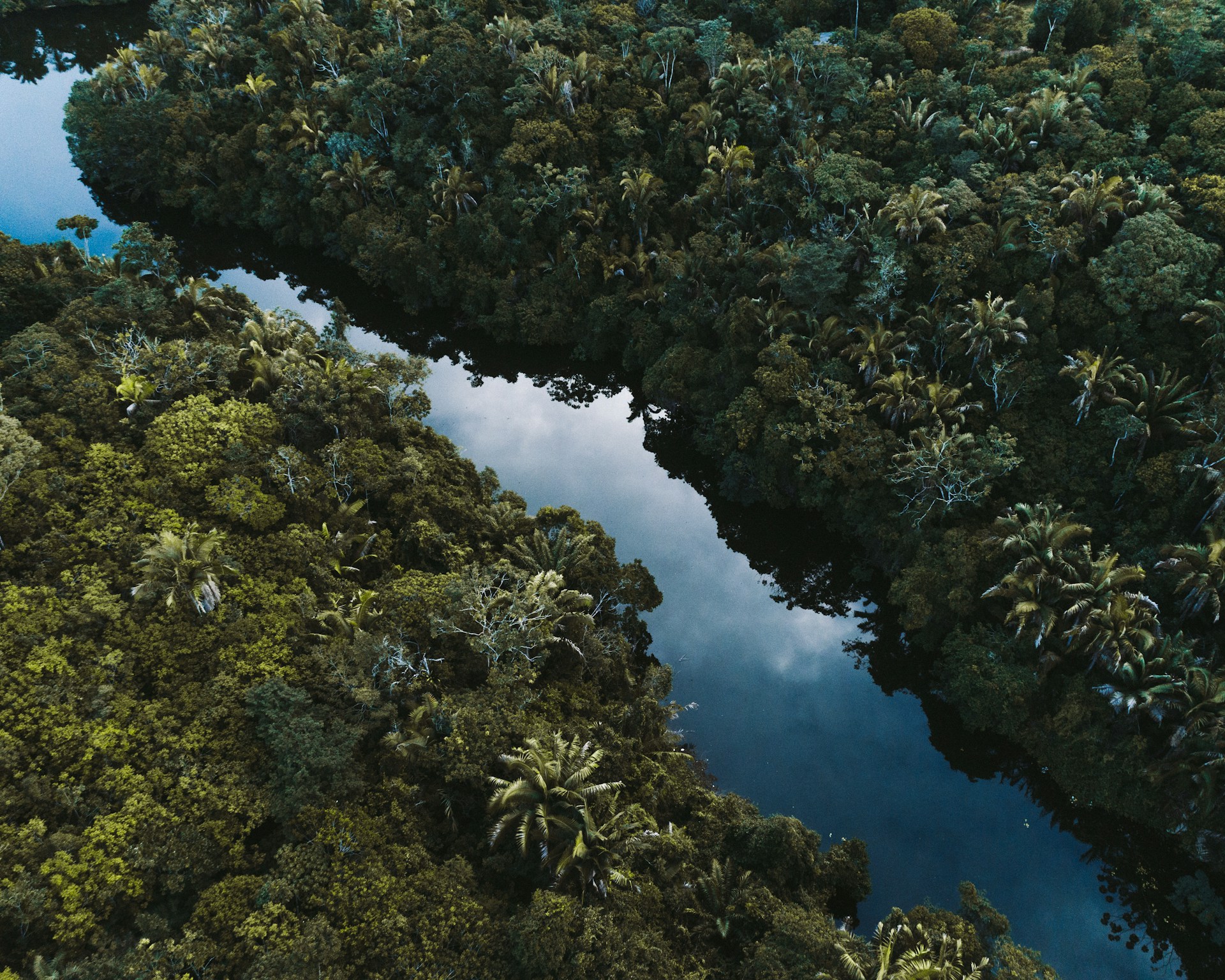https://mx7.horasis.org/wp-content/uploads/2024/08/felipe-dias-ErCSc5Nef2c-unsplash.jpg